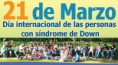 /album/fotogaleria-consejos/a2085-a1-jpg/